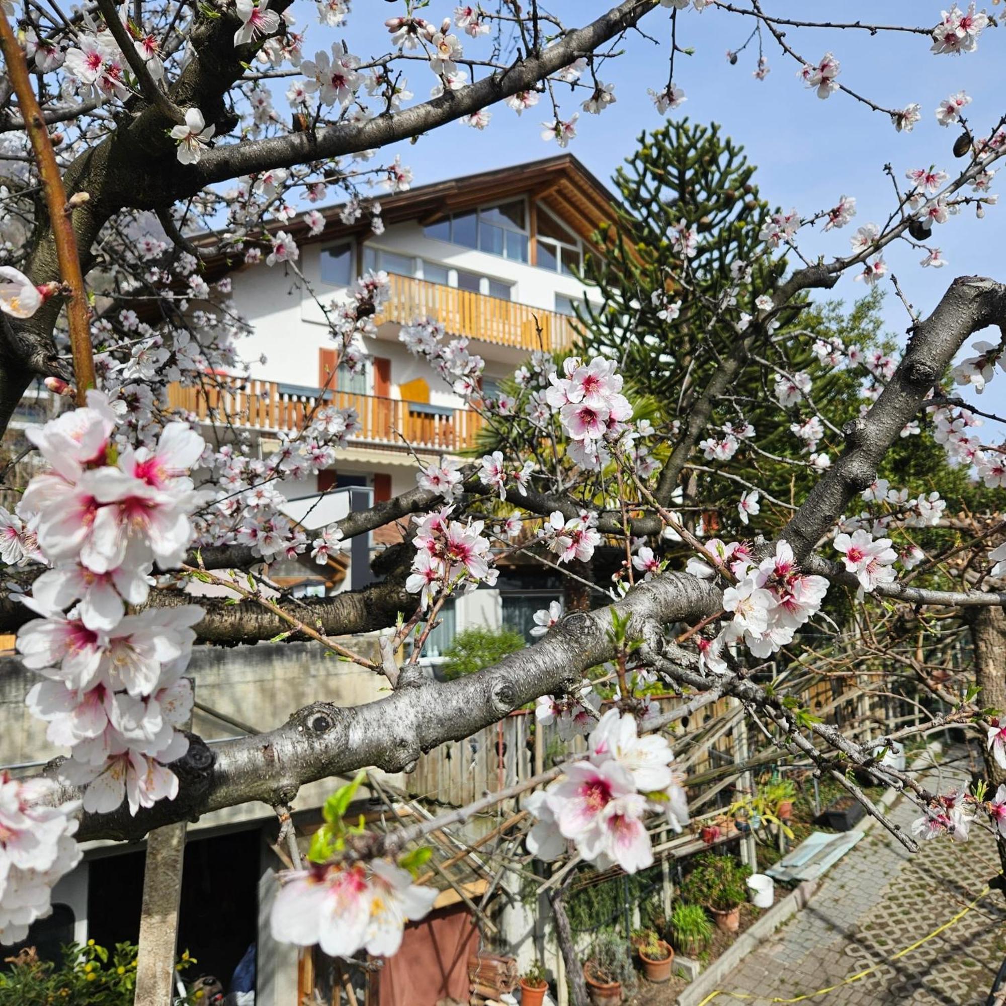 Bed and Breakfast Garni Unterwegguetl Натурно Екстер'єр фото